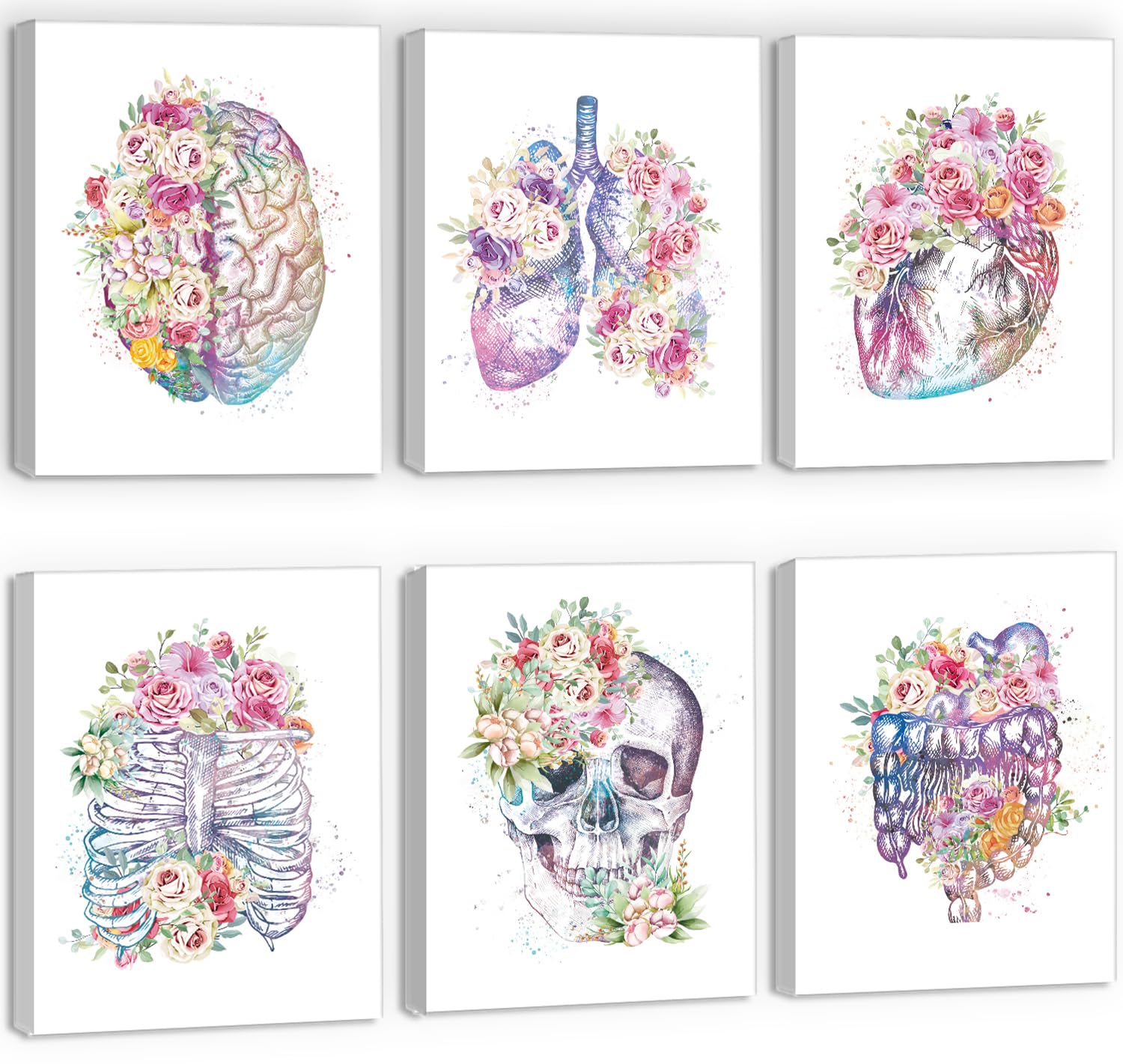 Amazon.com: CHDITB Medical Human Anatomy Wall Art, Medical